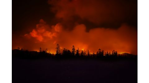 forest fire background