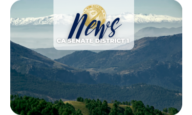 District News