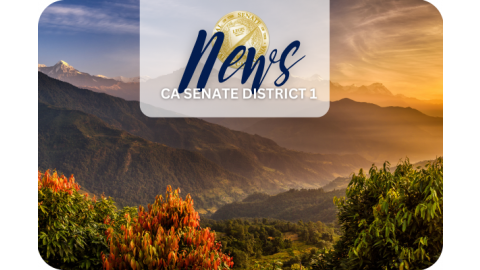 Camp Fire Collaborative Named 2024 Nonprofit of the Year for Senate District 1